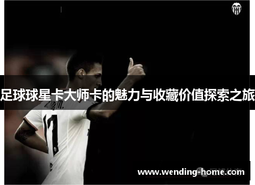足球球星卡大师卡的魅力与收藏价值探索之旅